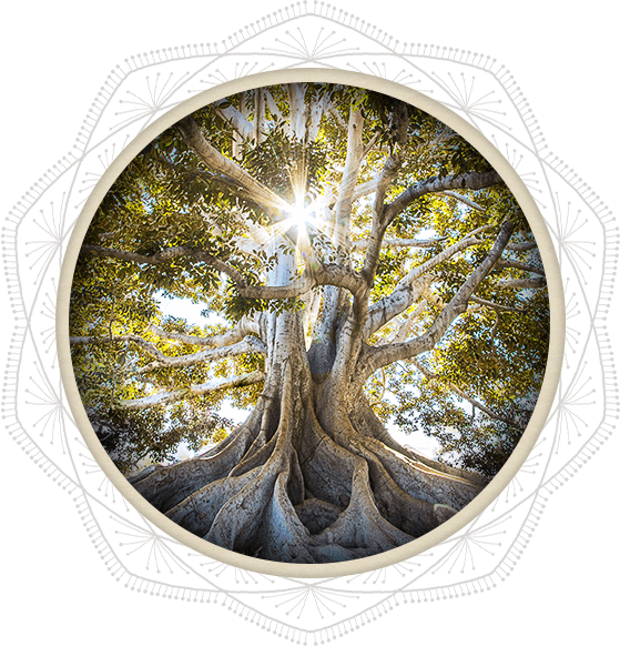 Beautiful Tree